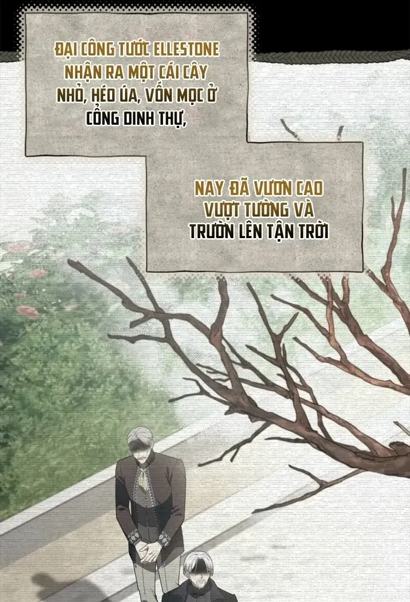 100 Lời Nguyền Của Dinh Thự Ellestone Chap 1 - Next Chap 2