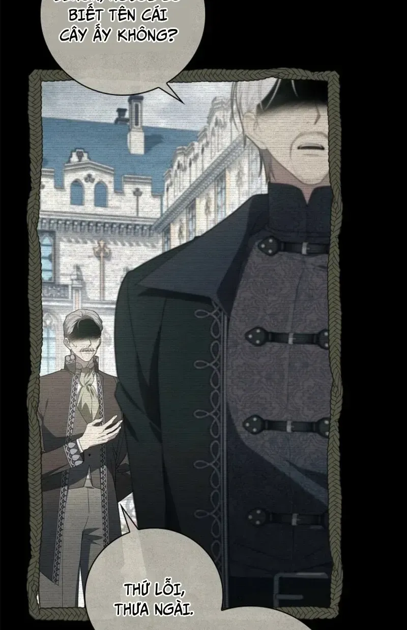 100 Lời Nguyền Của Dinh Thự Ellestone Chap 1 - Next Chap 2