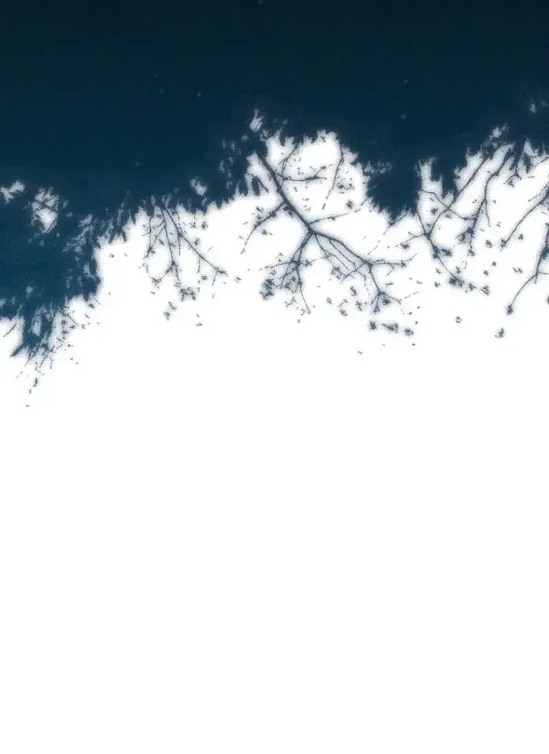 100 Lời Nguyền Của Dinh Thự Ellestone Chap 19 - Next Chap 20