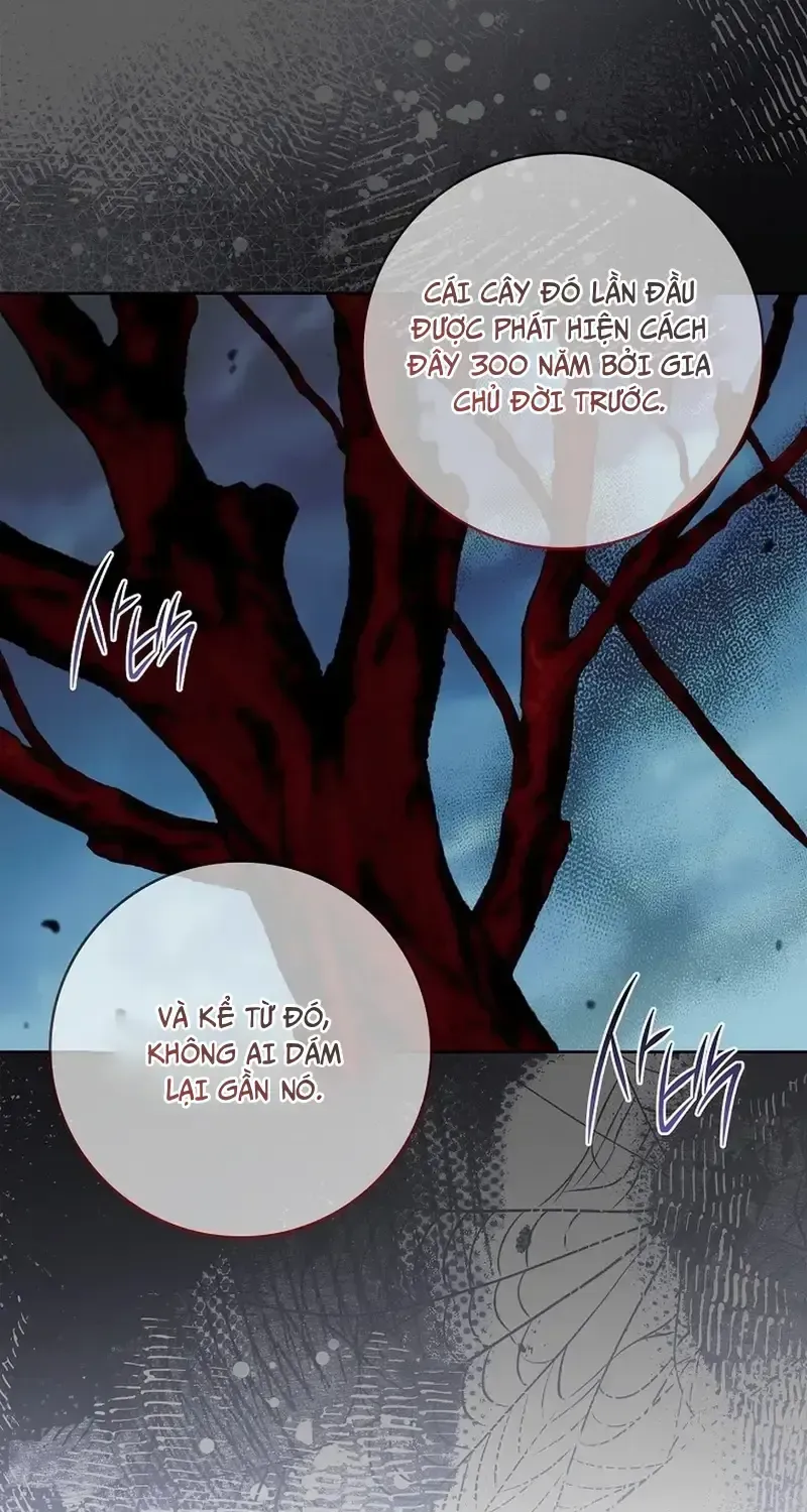 100 Lời Nguyền Của Dinh Thự Ellestone Chap 3 - Next Chap 4