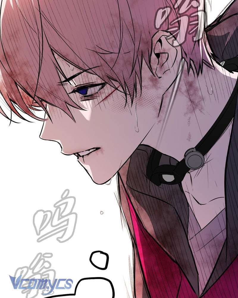 Ác Chi Hoàn Chap 4 - Next Chap 5