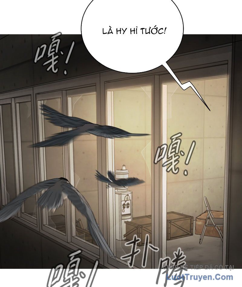 Ác Chi Hoàn Chap 72 - Next Chap 73