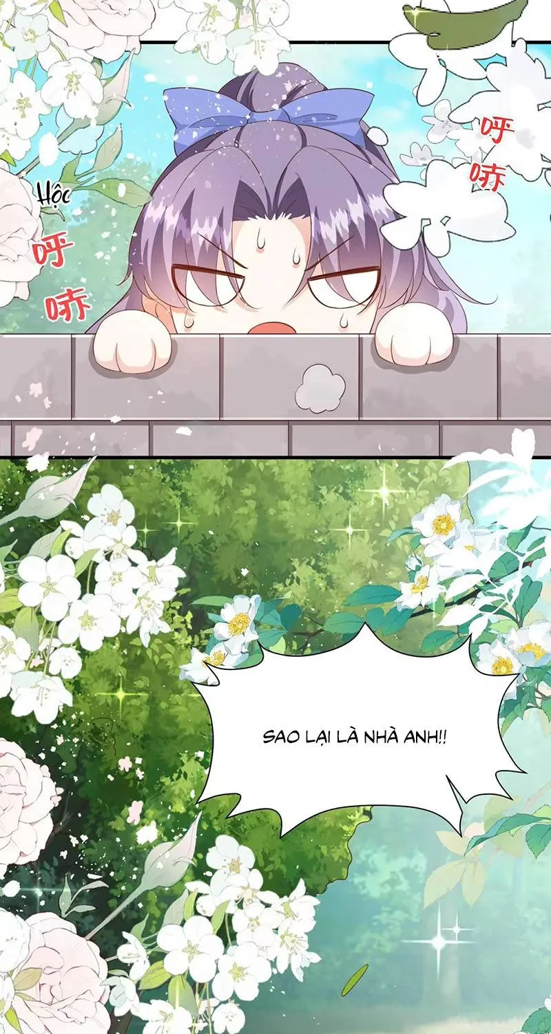 Ác Nữ Ai Cũng Mê Chap 16 - Next Chap 17