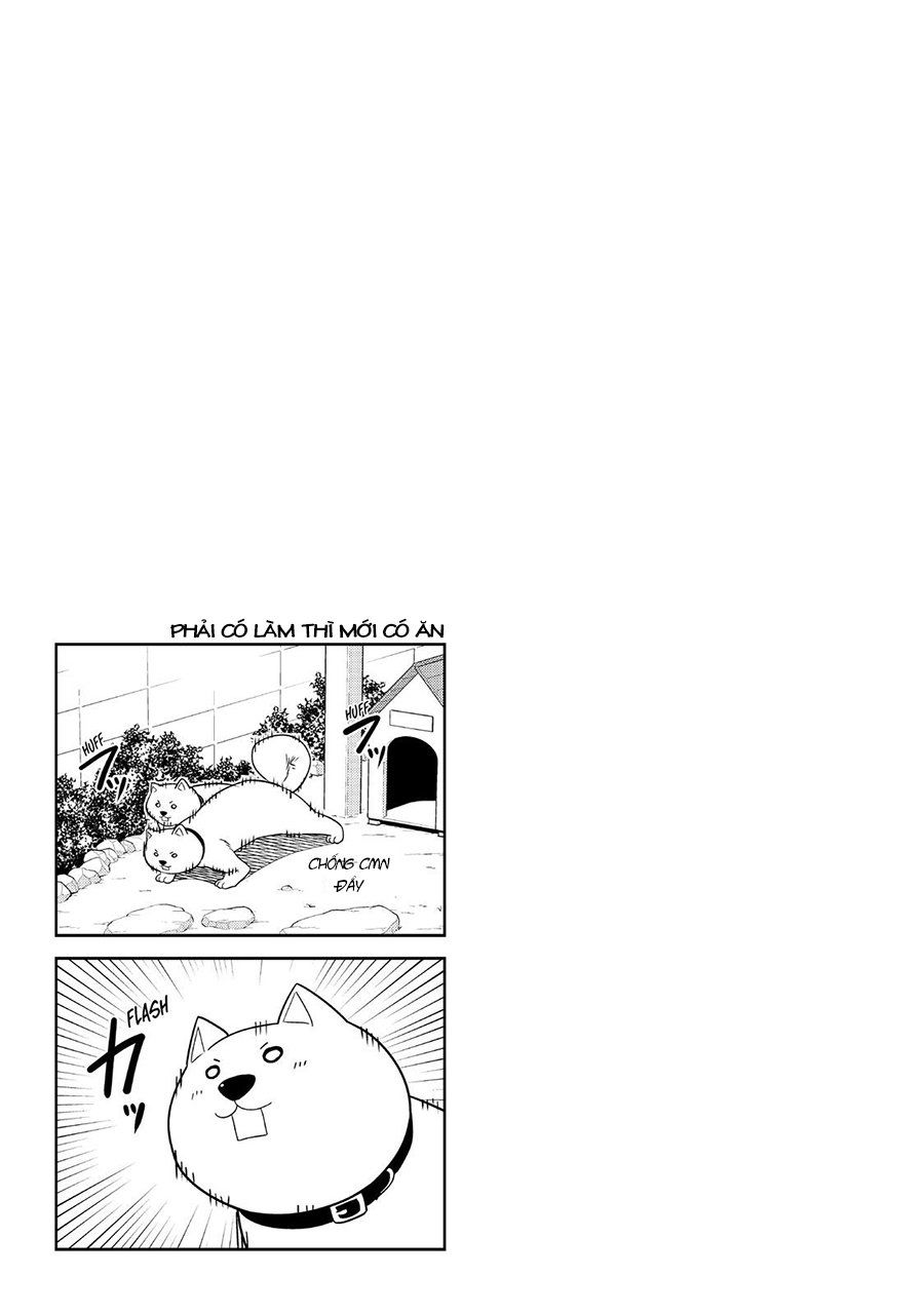 Aho Girl Chap 121 - Next Chap 122