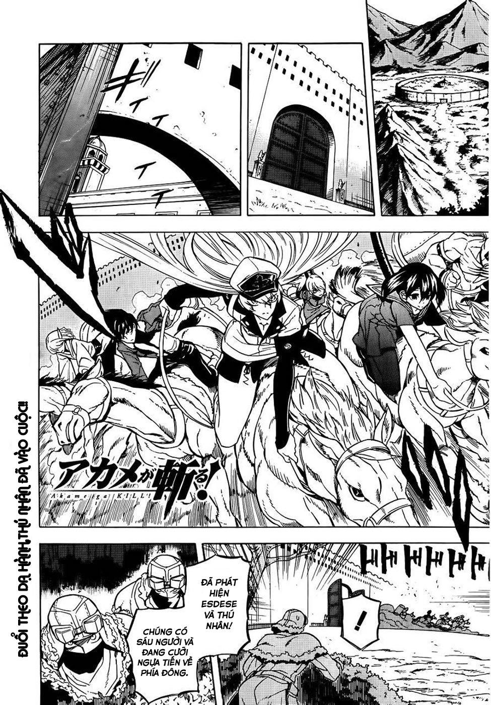 Akame Ga Kiru Chap 29 - Next Chap 30
