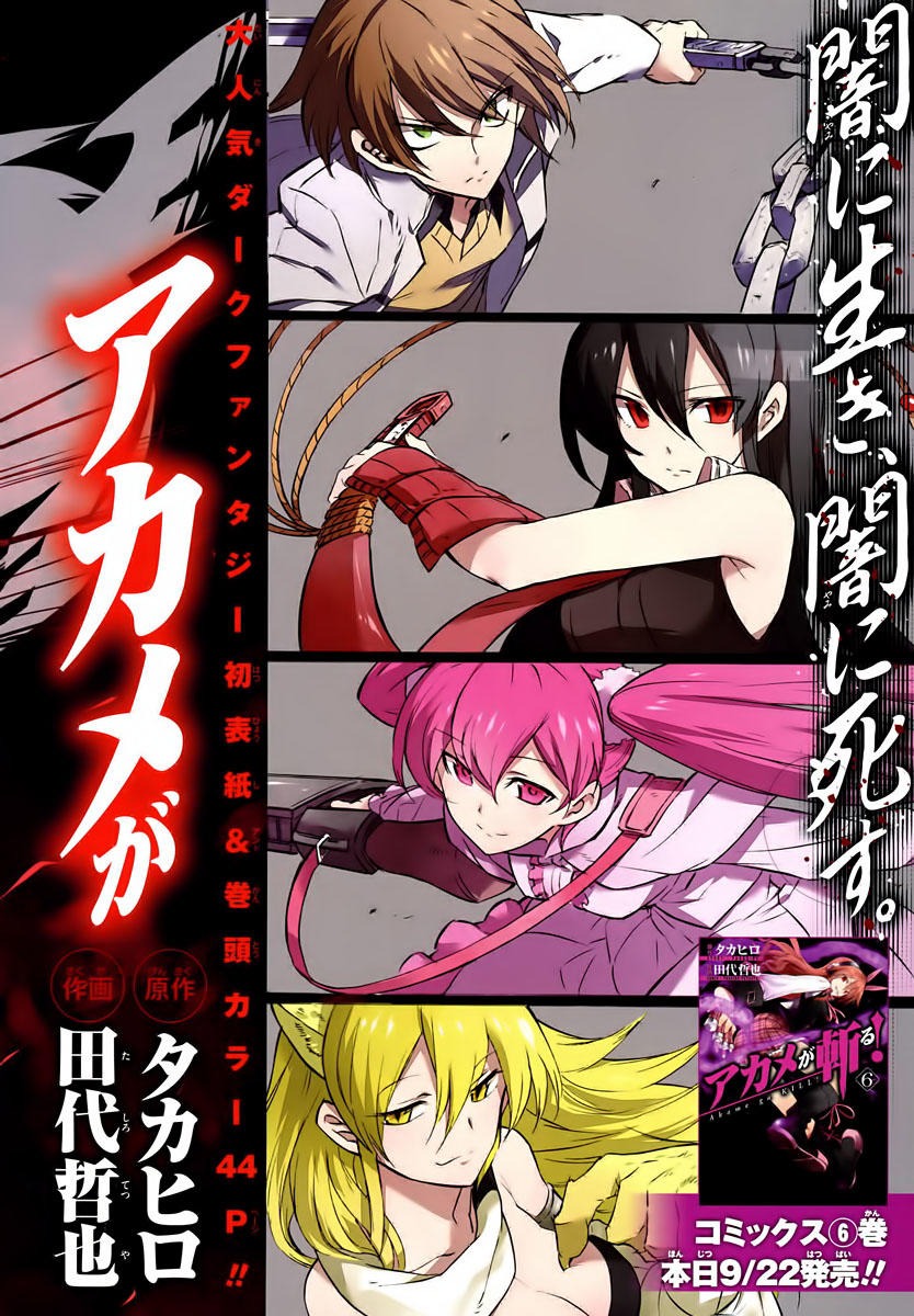 Akame Ga Kiru Chap 30 - Next Chap 31
