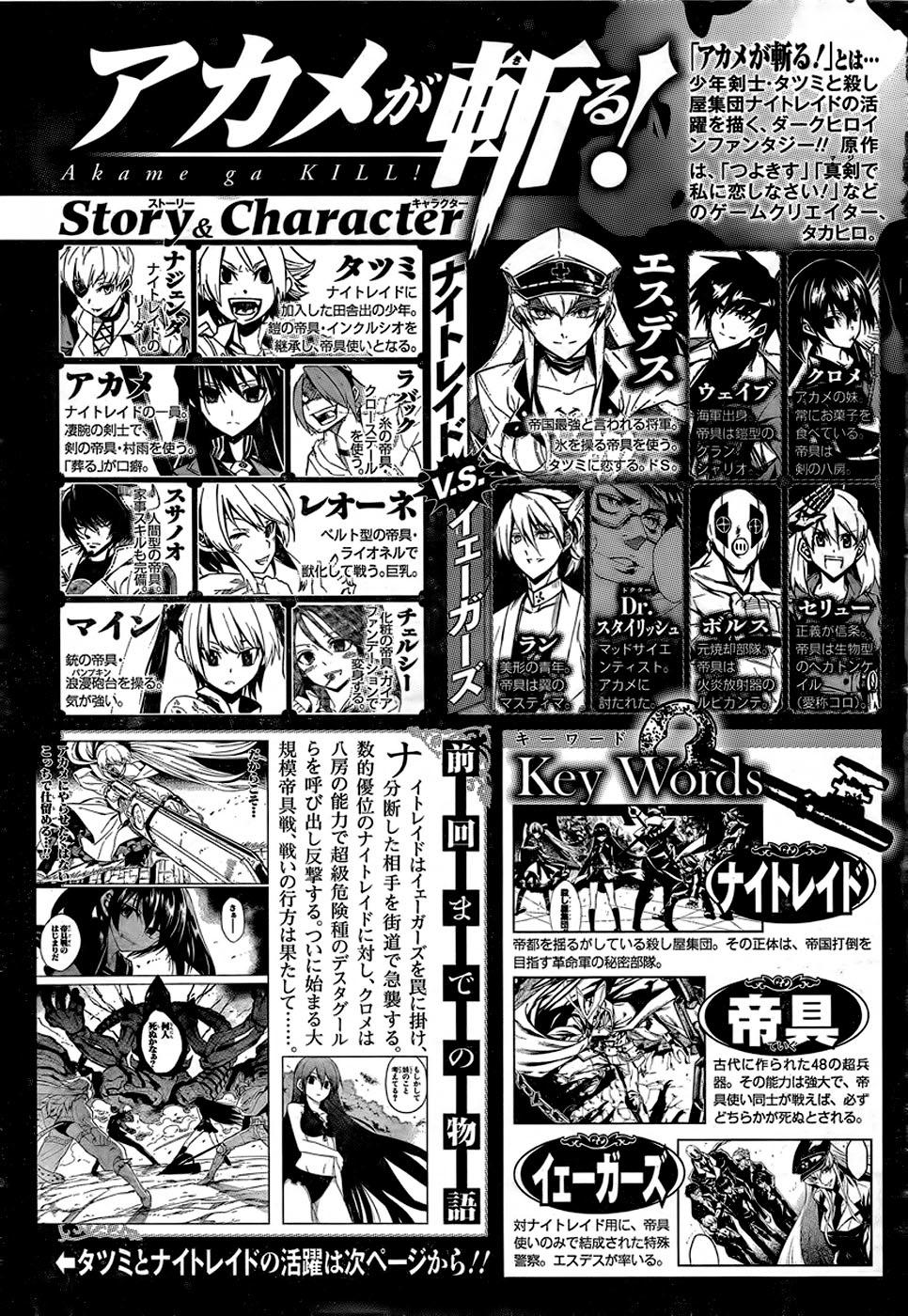 Akame Ga Kiru Chap 30 - Next Chap 31