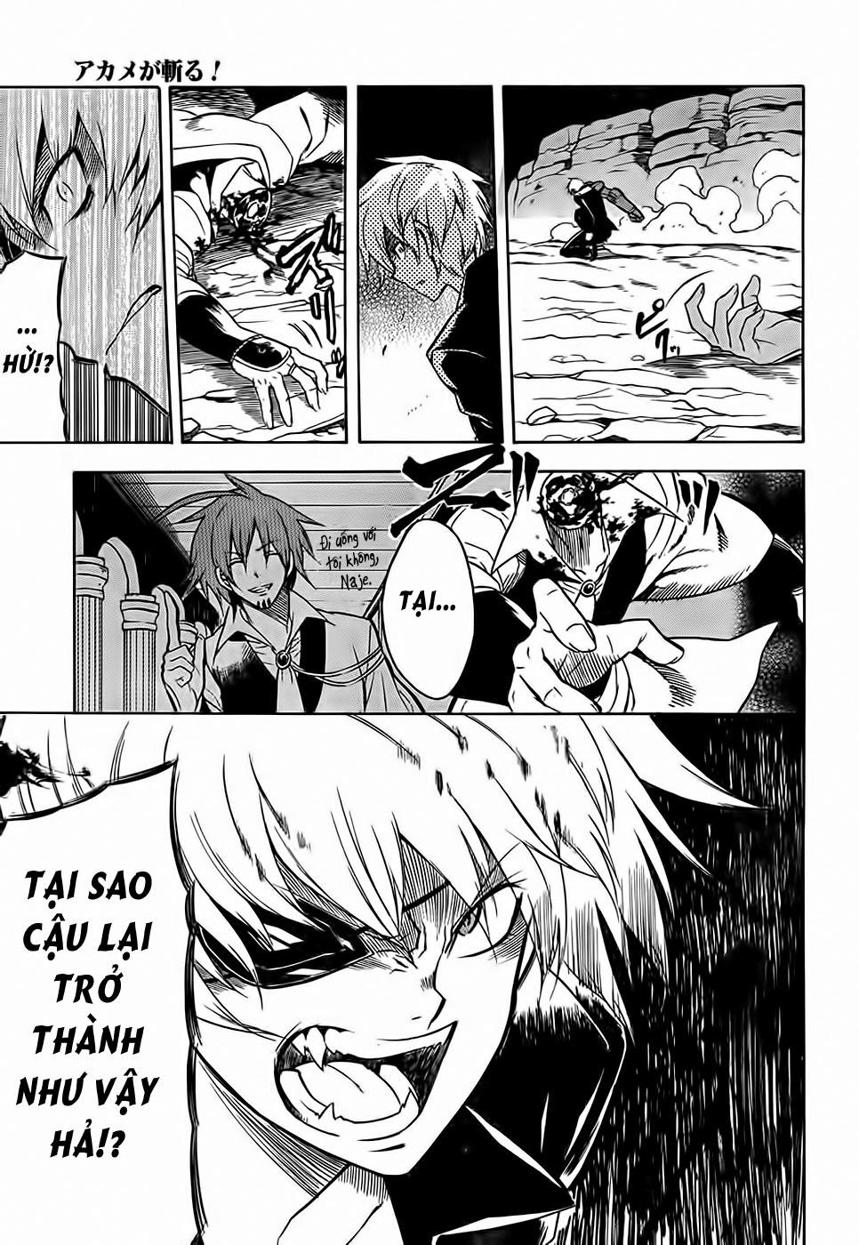 Akame Ga Kiru Chap 31 - Next Chap 32