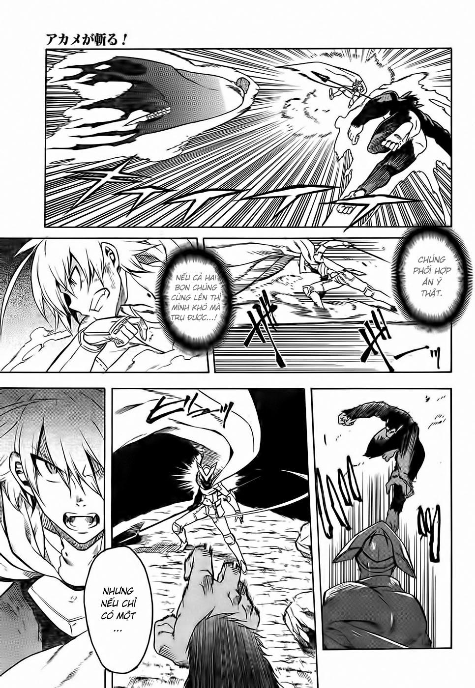 Akame Ga Kiru Chap 31 - Next Chap 32