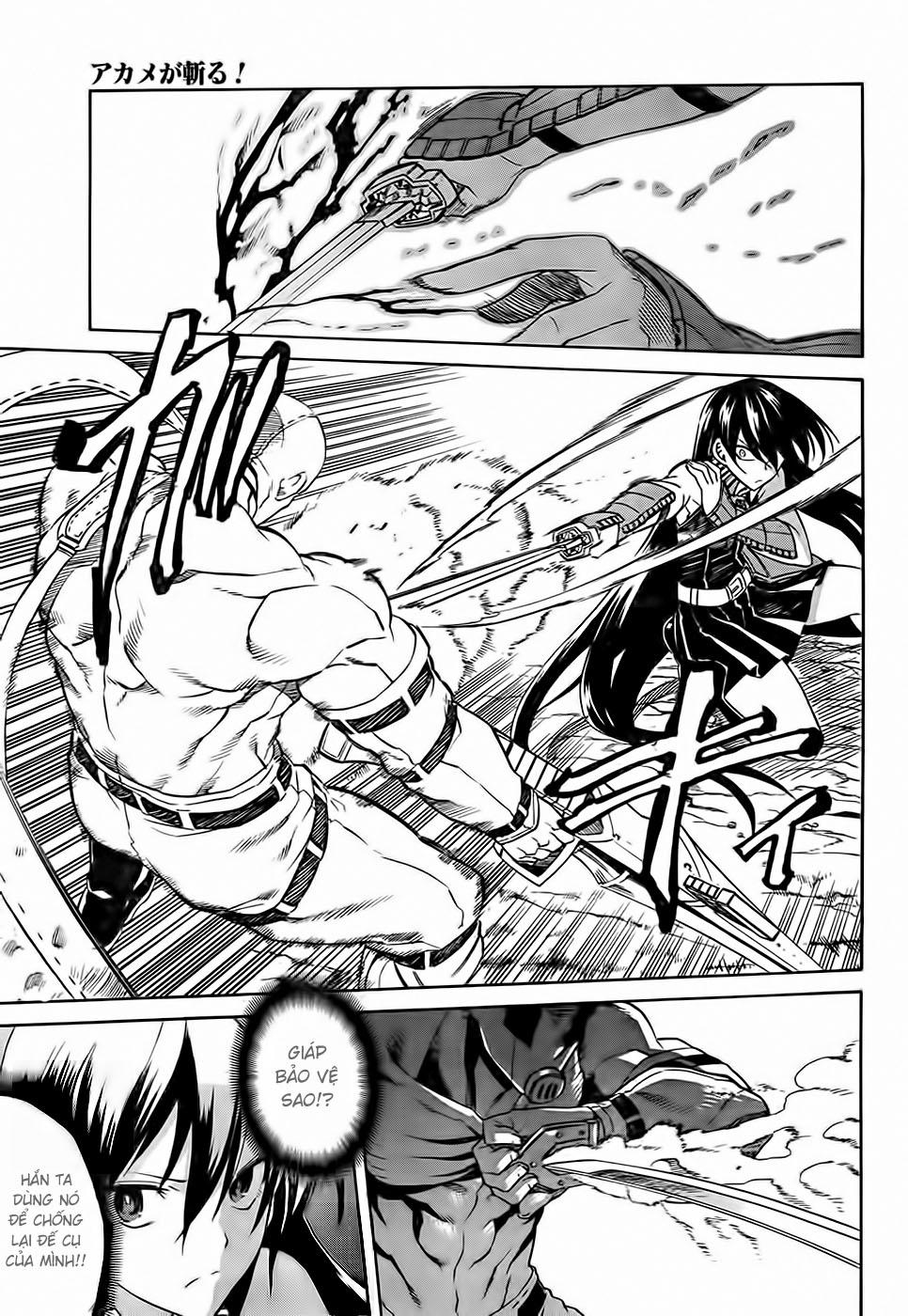 Akame Ga Kiru Chap 31 - Next Chap 32