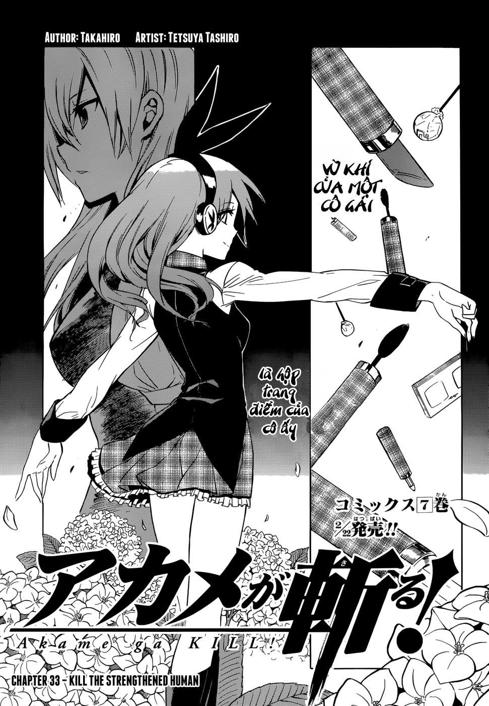 Akame Ga Kiru Chap 33 - Next Chap 34