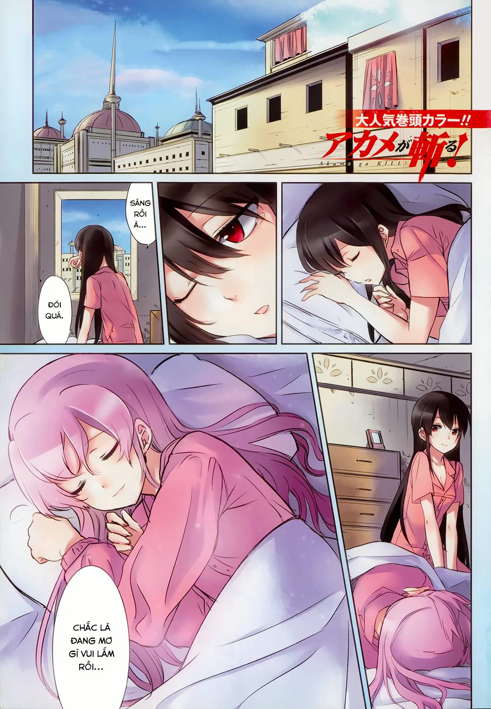 Akame Ga Kiru Chap 39 - Next Chap 40