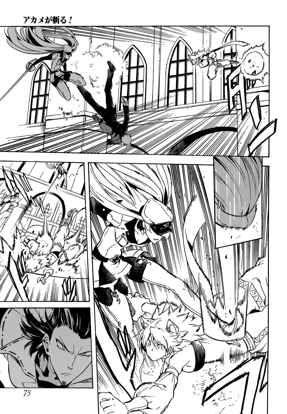 Akame Ga Kiru Chap 41 - Next Chap 42