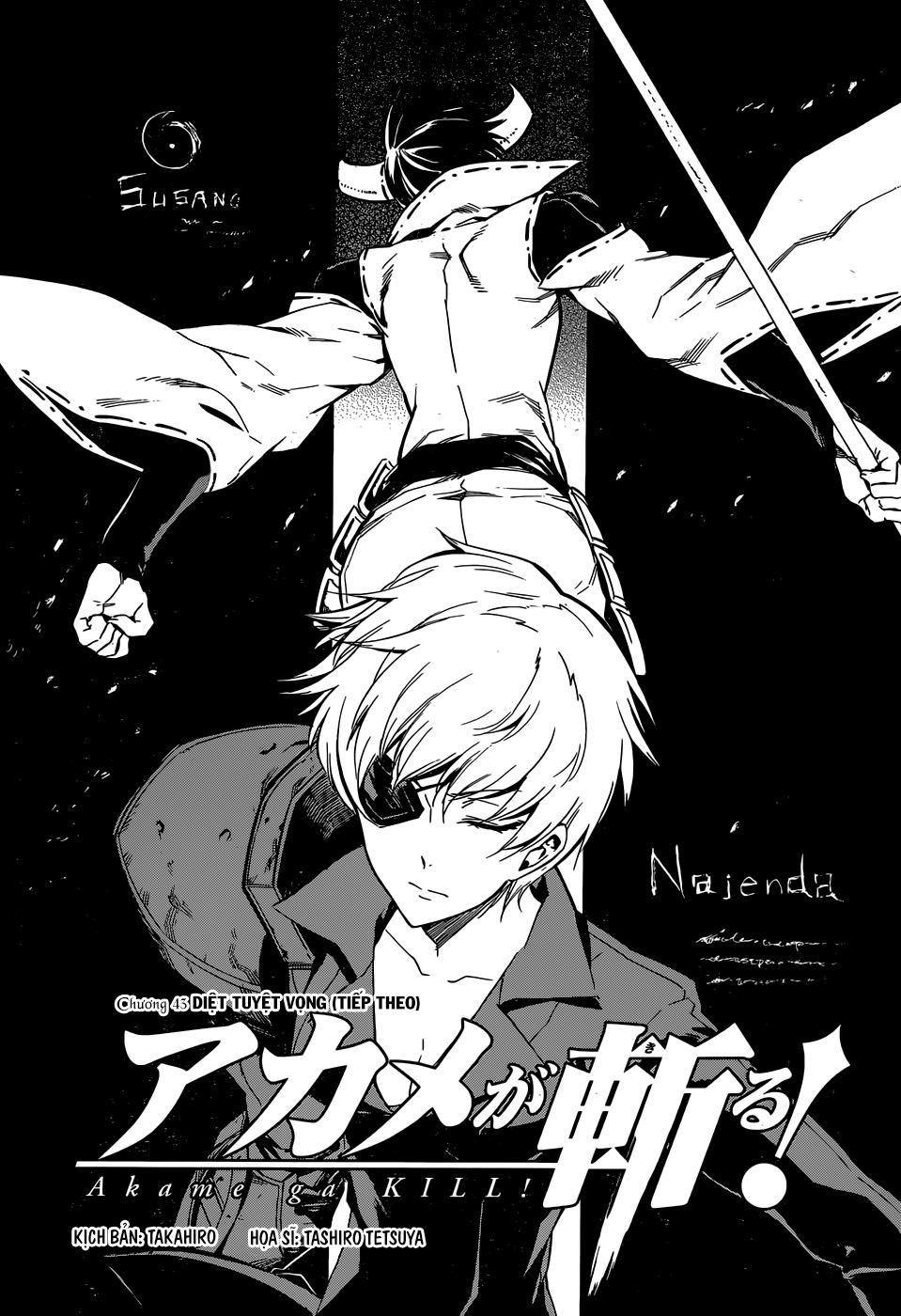 Akame Ga Kiru Chap 43 - Next Chap 44