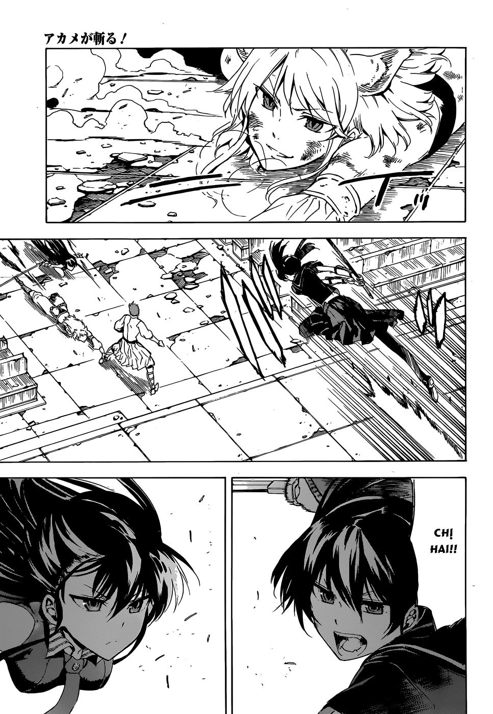 Akame Ga Kiru Chap 43 - Next Chap 44