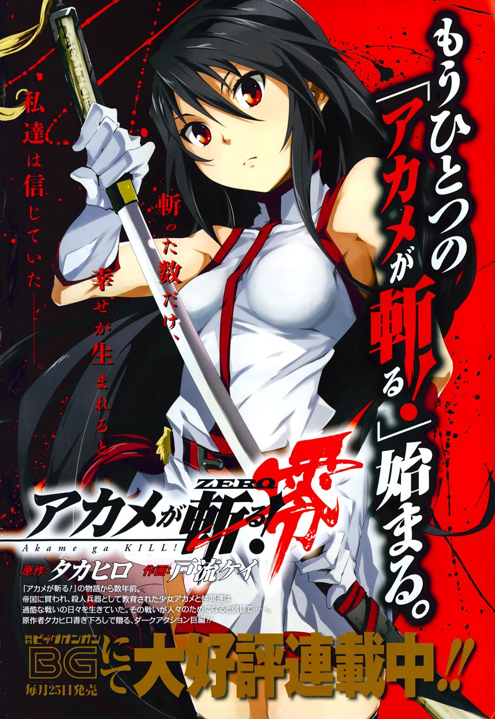 Akame Ga Kiru Chap 45 - Next Chap 46