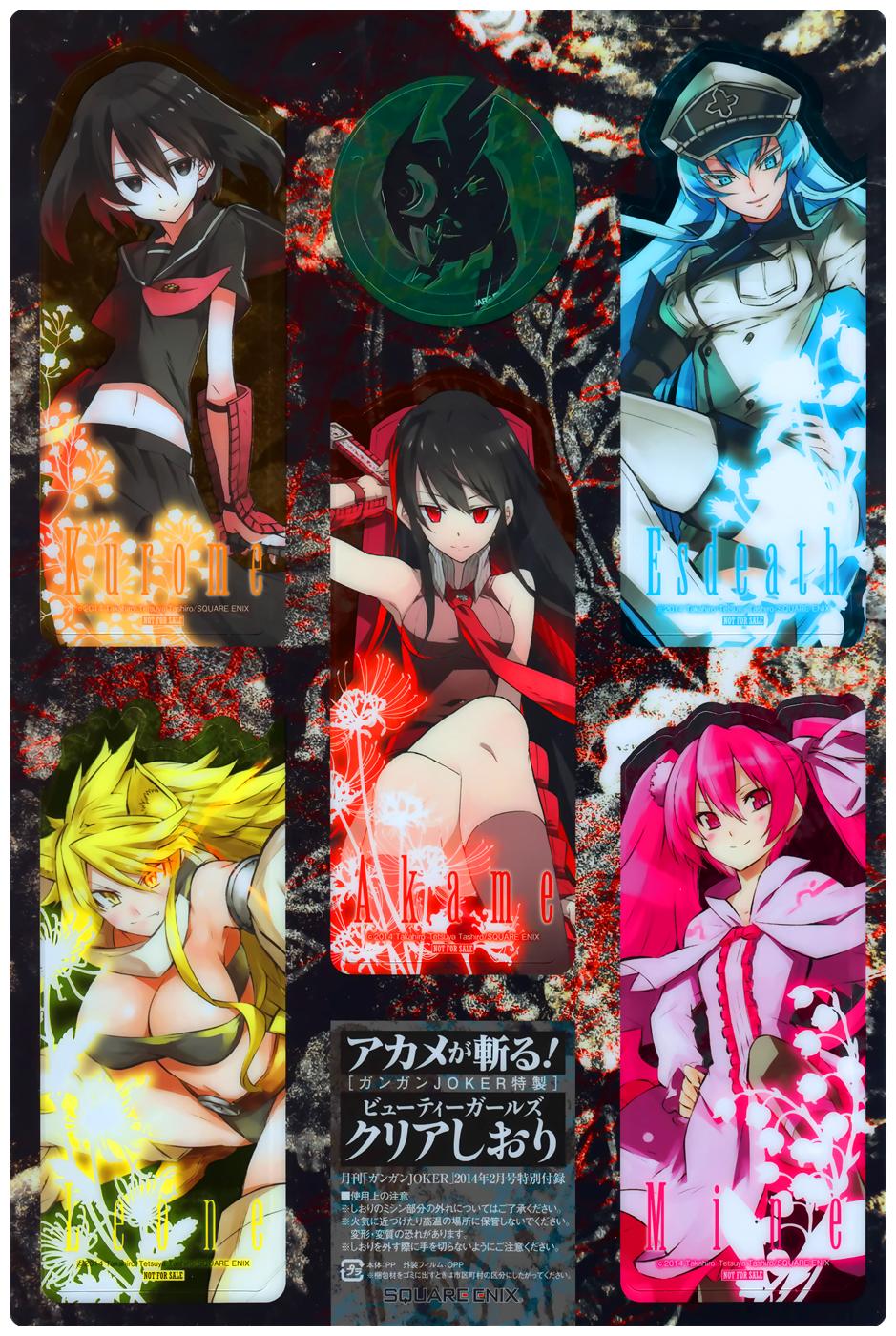 Akame Ga Kiru Chap 46 - Next Chap 47