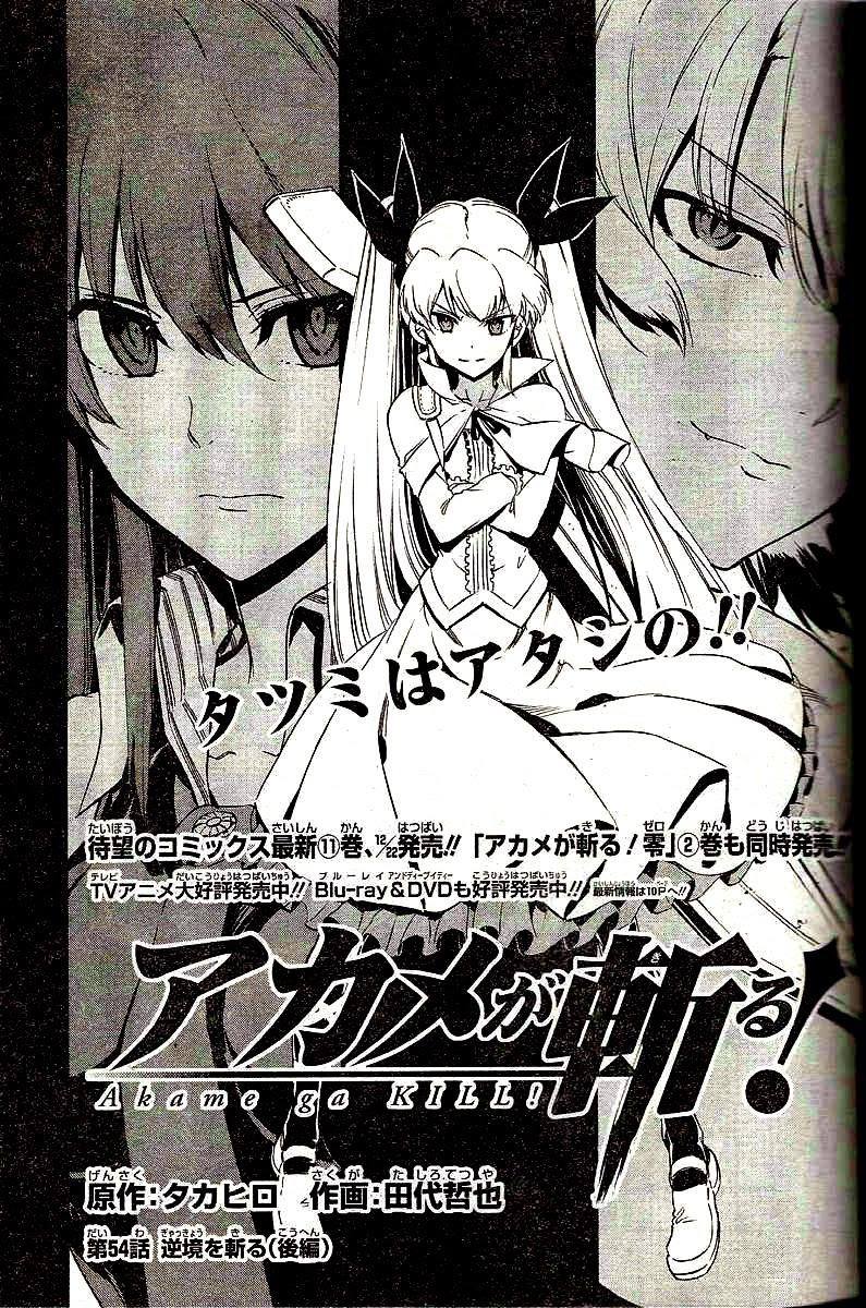 Akame Ga Kiru Chap 54 - Next Chap 55