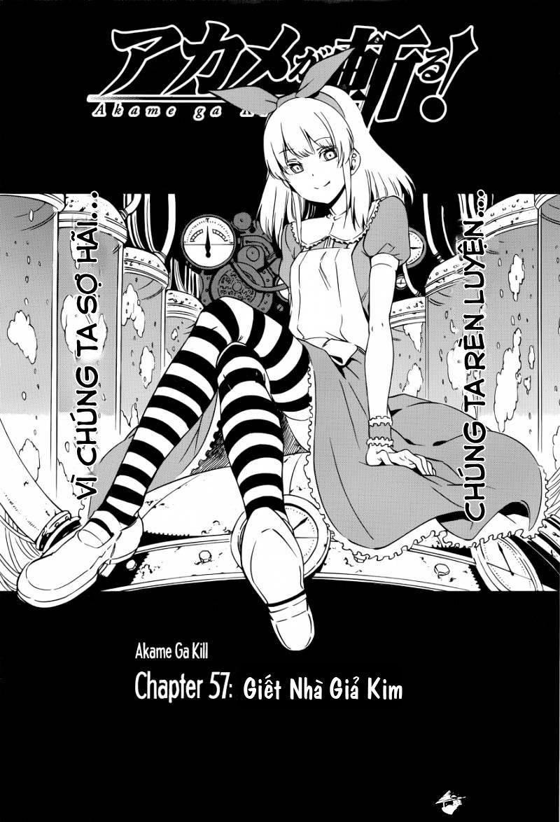 Akame Ga Kiru Chap 57 - Next Chap 58
