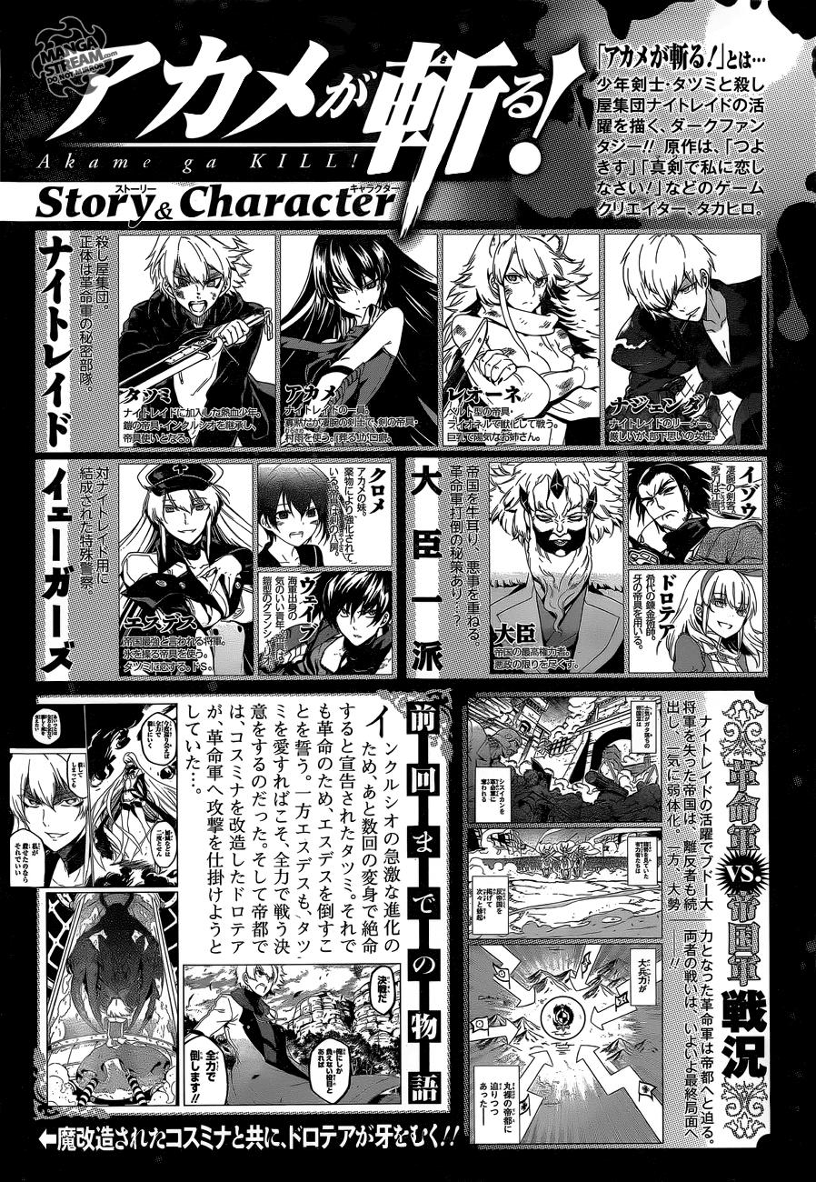 Akame Ga Kiru Chap 58.1 - Next Chap 59.1