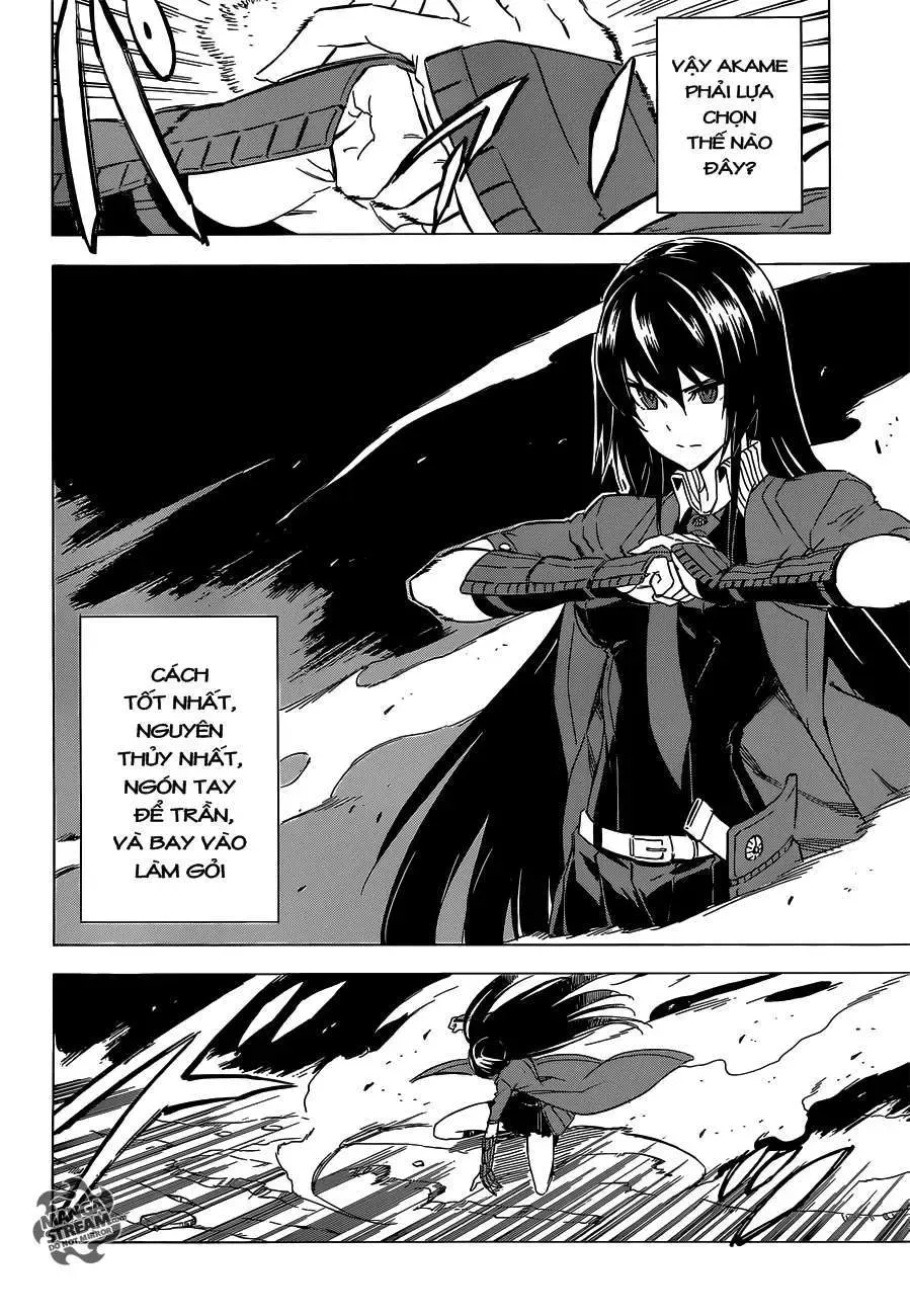 Akame Ga Kiru Chap 59.2 - Next Chap 60.2