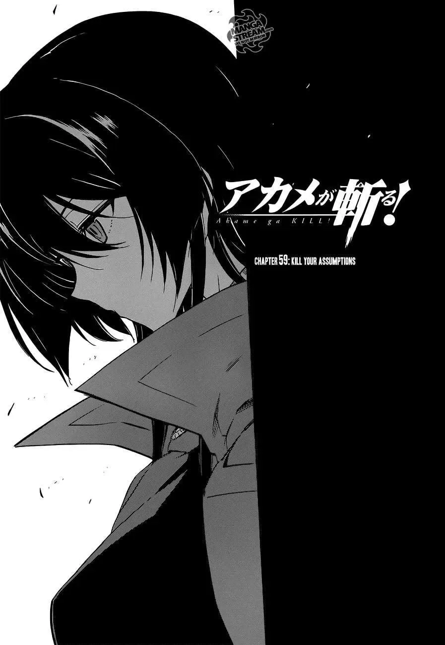 Akame Ga Kiru Chap 59.2 - Next Chap 60.2