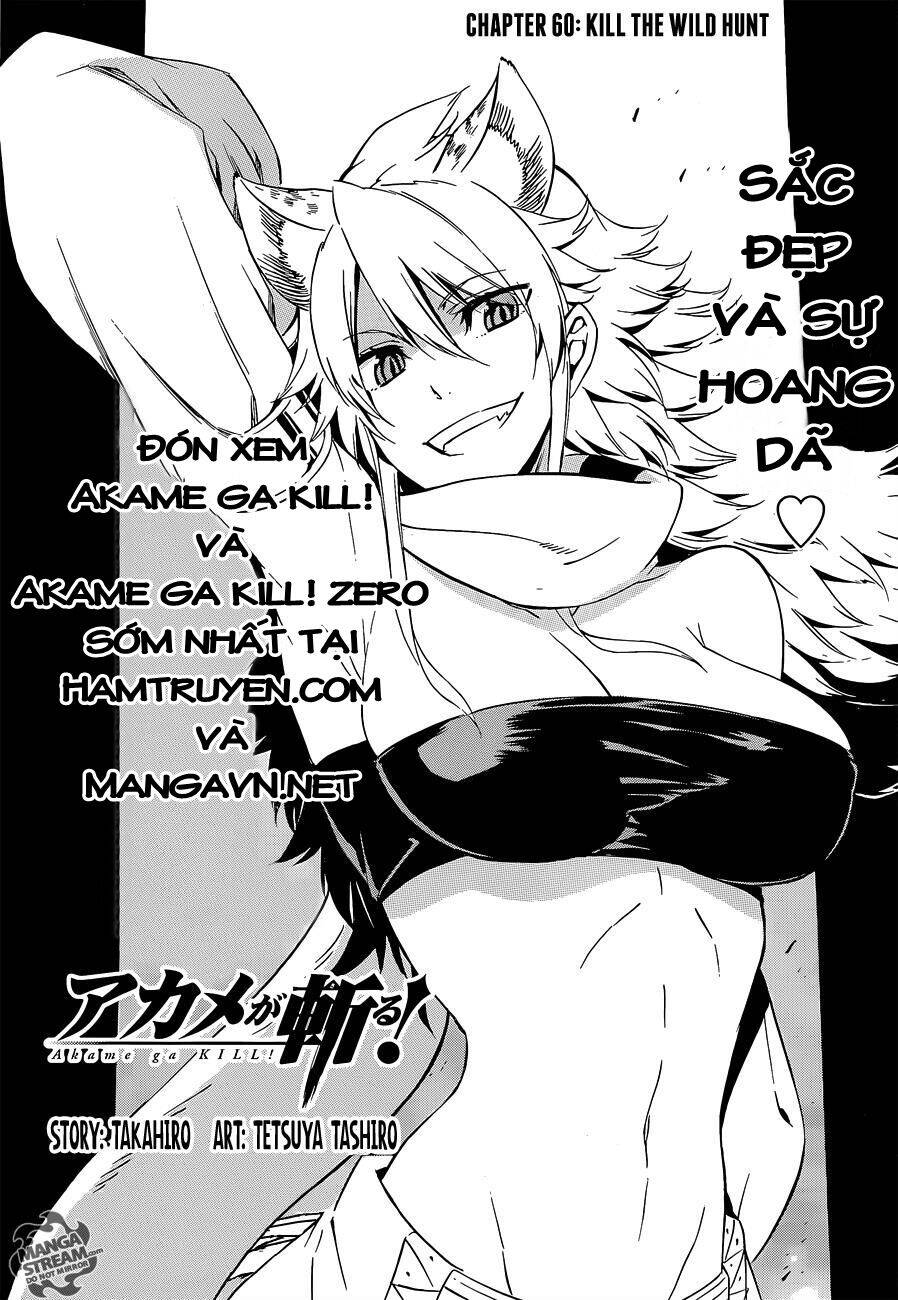 Akame Ga Kiru Chap 60 - Next Chap 61