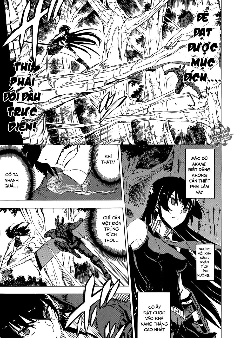 Akame Ga Kiru Chap 62 - Next Chap 63
