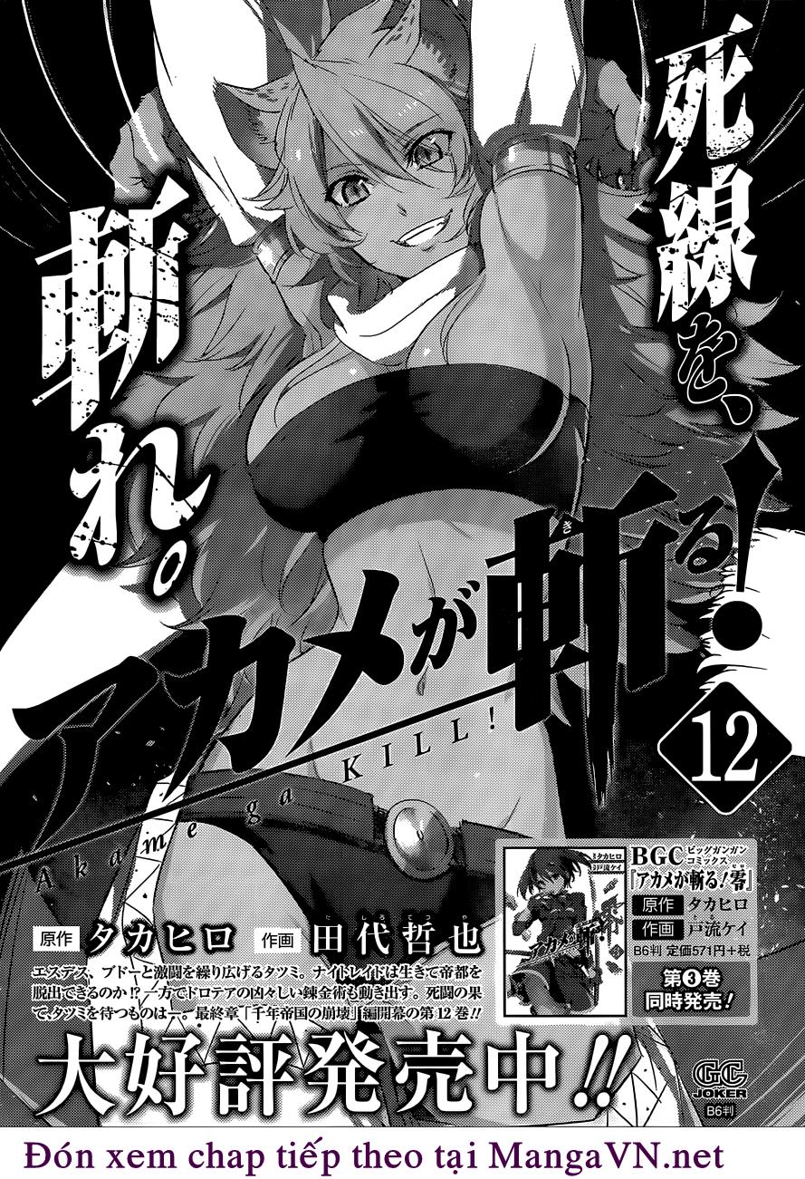 Akame Ga Kiru Chap 62 - Next Chap 63