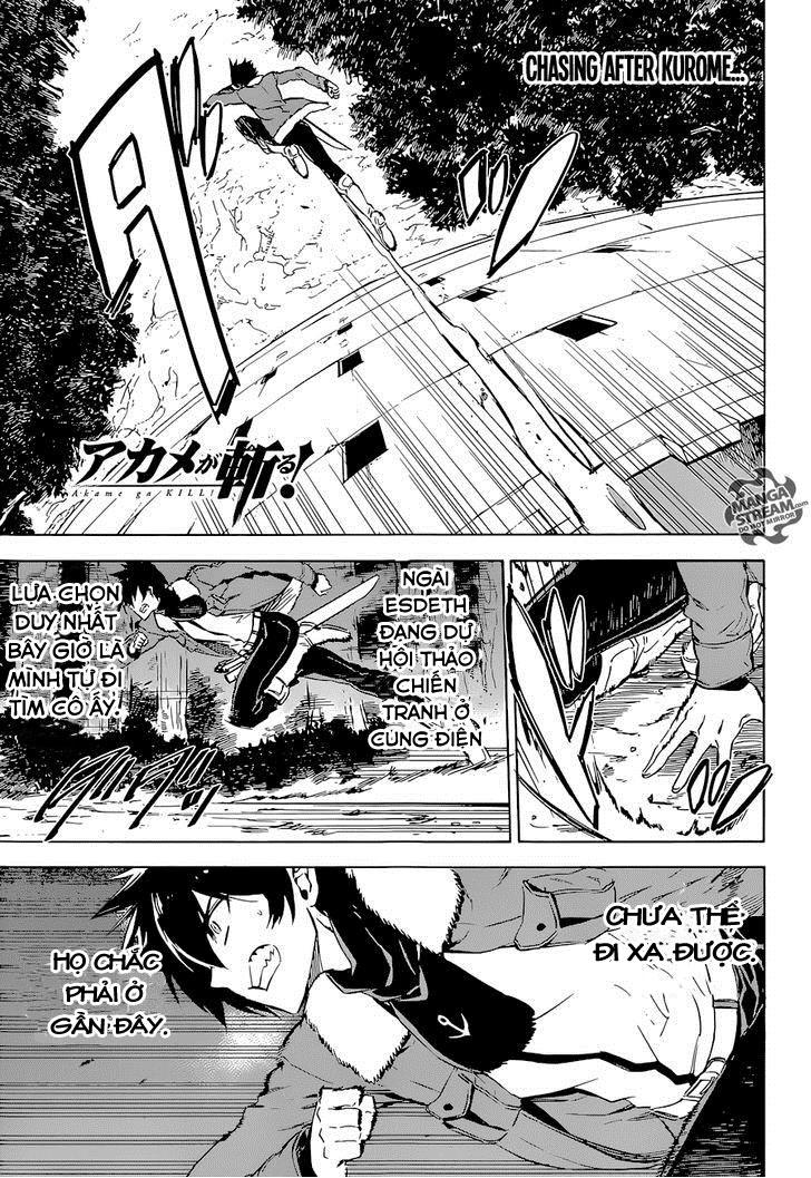 Akame Ga Kiru Chap 65 - Next Chap 66