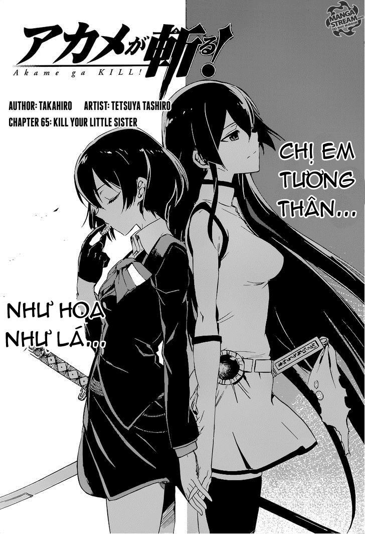 Akame Ga Kiru Chap 65 - Next Chap 66
