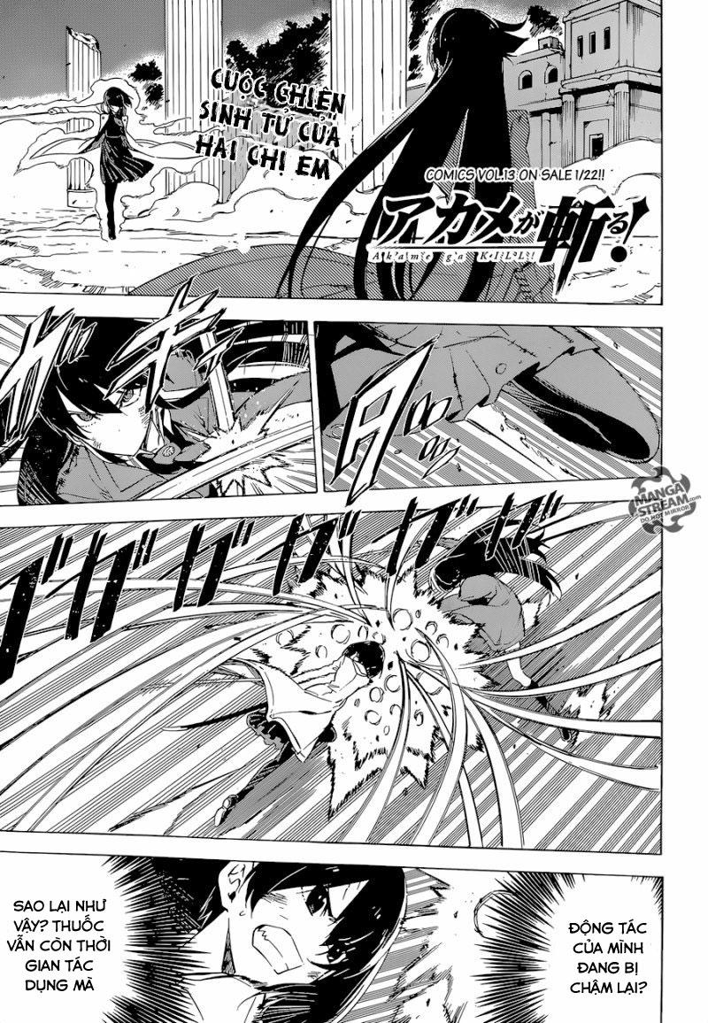 Akame Ga Kiru Chap 66 - Next Chap 67