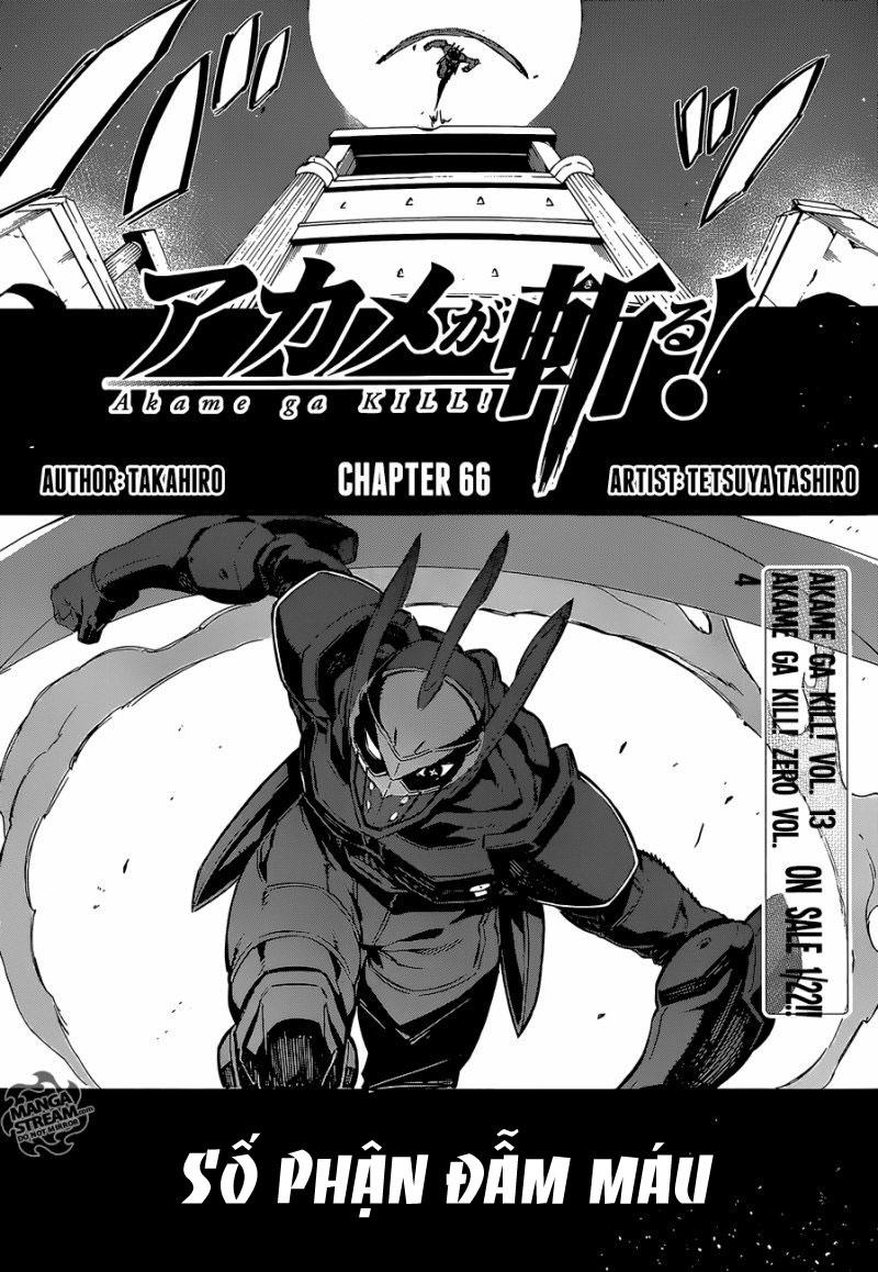 Akame Ga Kiru Chap 66 - Next Chap 67