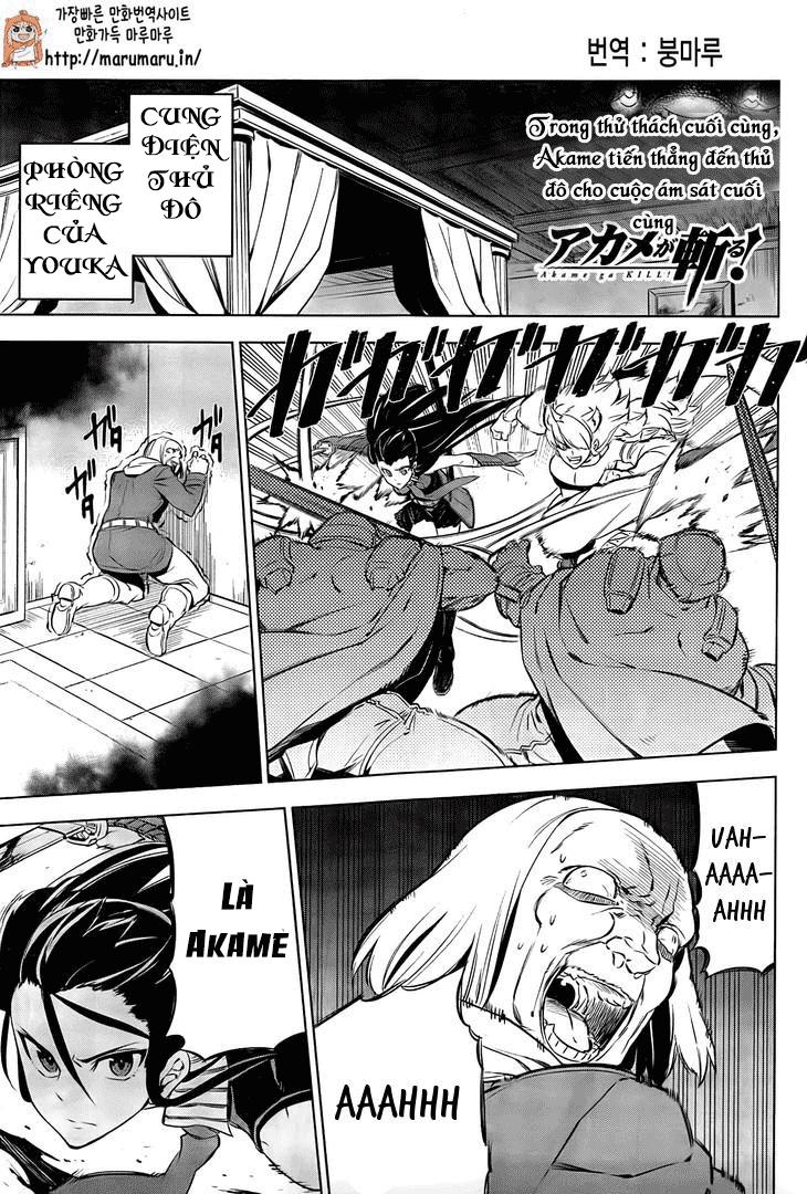 Akame Ga Kiru Chap 69 - Next Chap 70