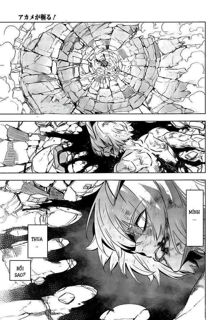 Akame Ga Kiru Chap 73 - Next Chap 74