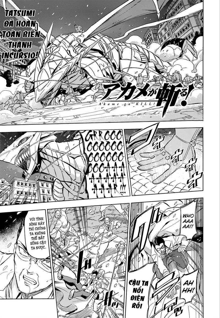 Akame Ga Kiru Chap 76 - Next Chap 77