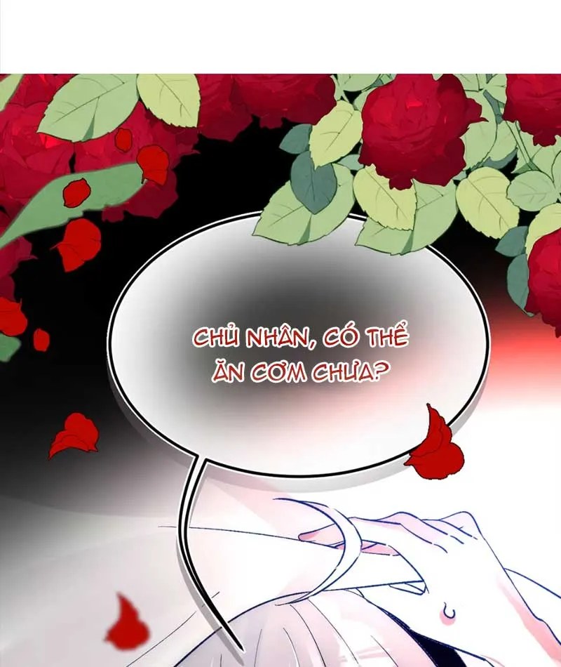 Allie Chap 2 - Next Chap 3