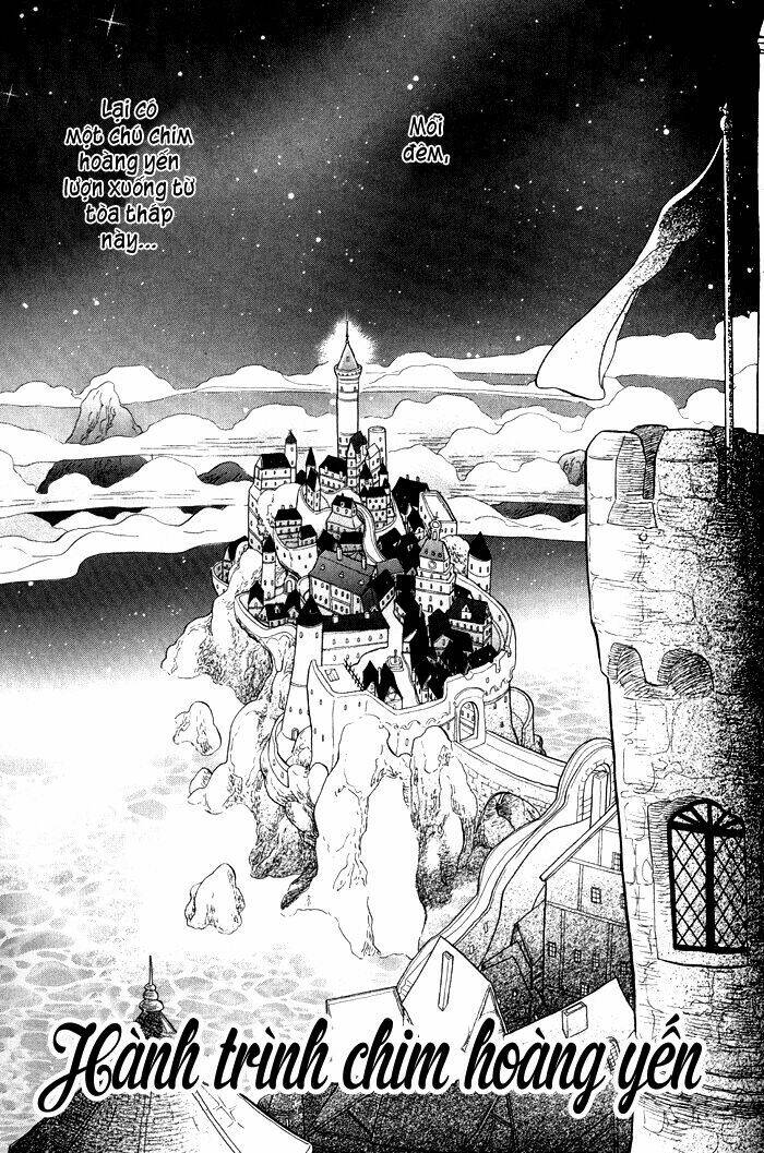 Alone In My King's Harem Chap 4 - Next Chap 5