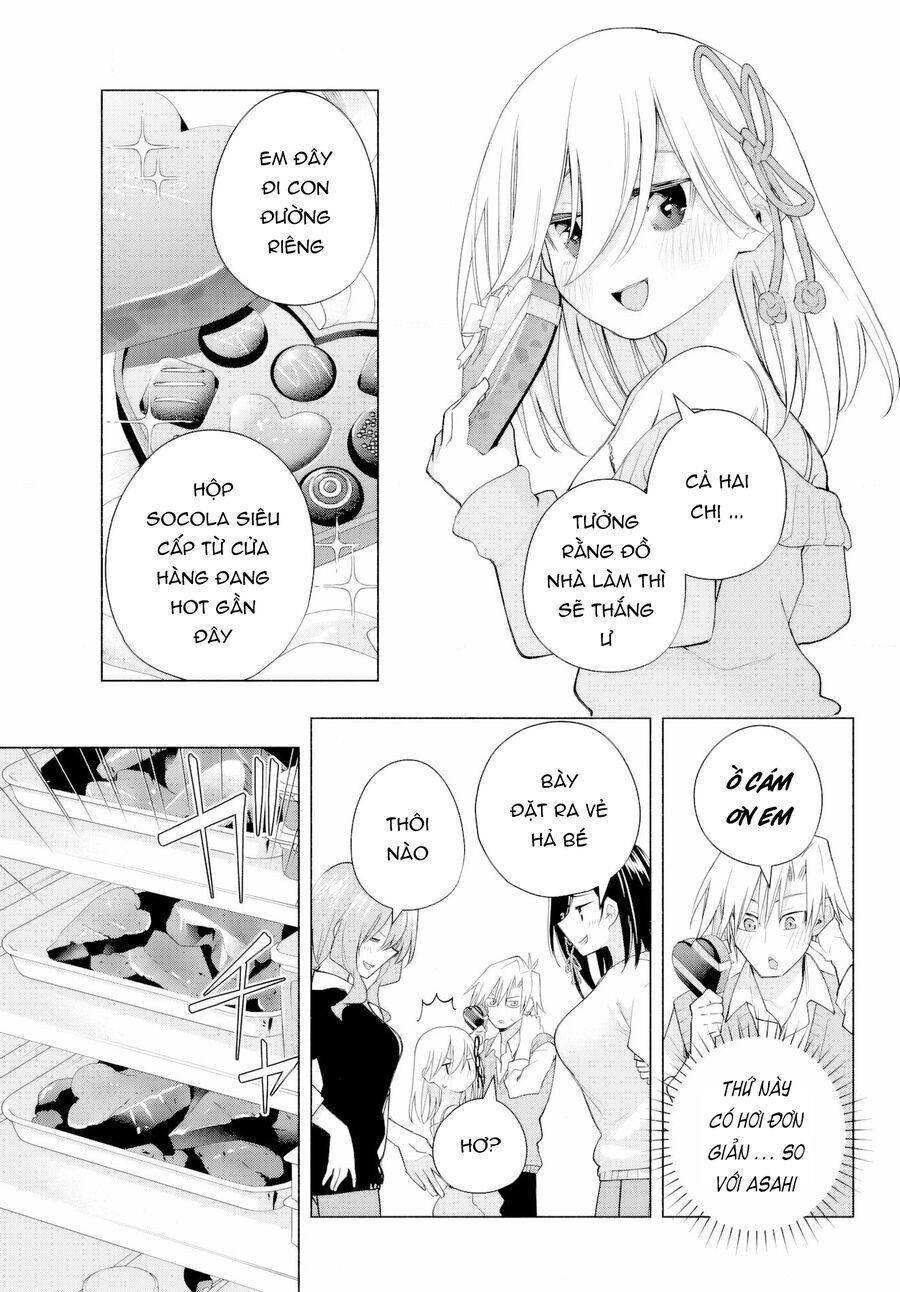 Amagami-san Chi no Enmusubi! Chap 177 - Next Chap 178