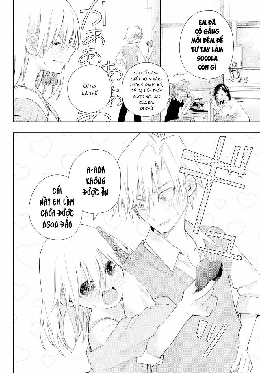 Amagami-san Chi no Enmusubi! Chap 177 - Next Chap 178