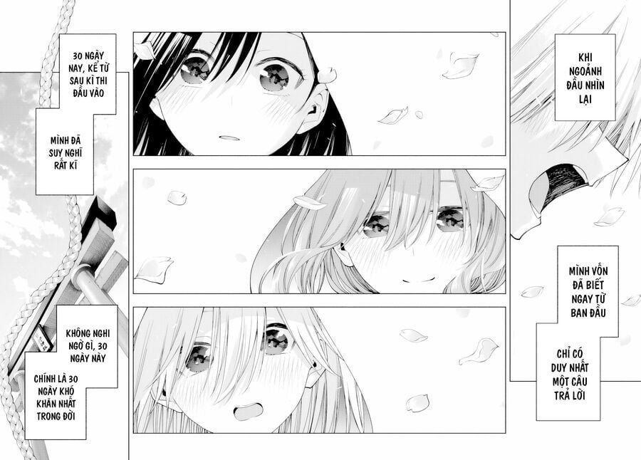 Amagami-san Chi no Enmusubi! Chap 177 - Next Chap 178