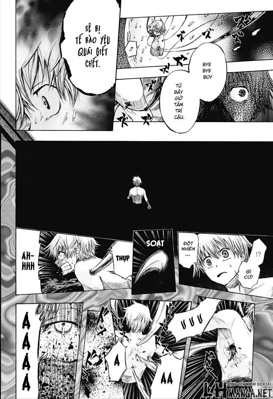 Amalgam Of Distortion Chap 1 - Next Chap 2