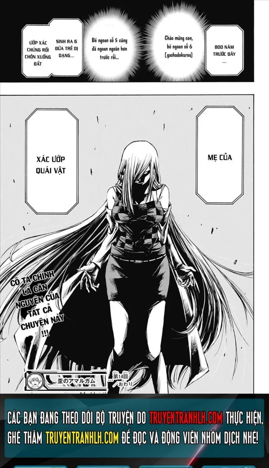 Amalgam Of Distortion Chap 14 - Next Chap 15