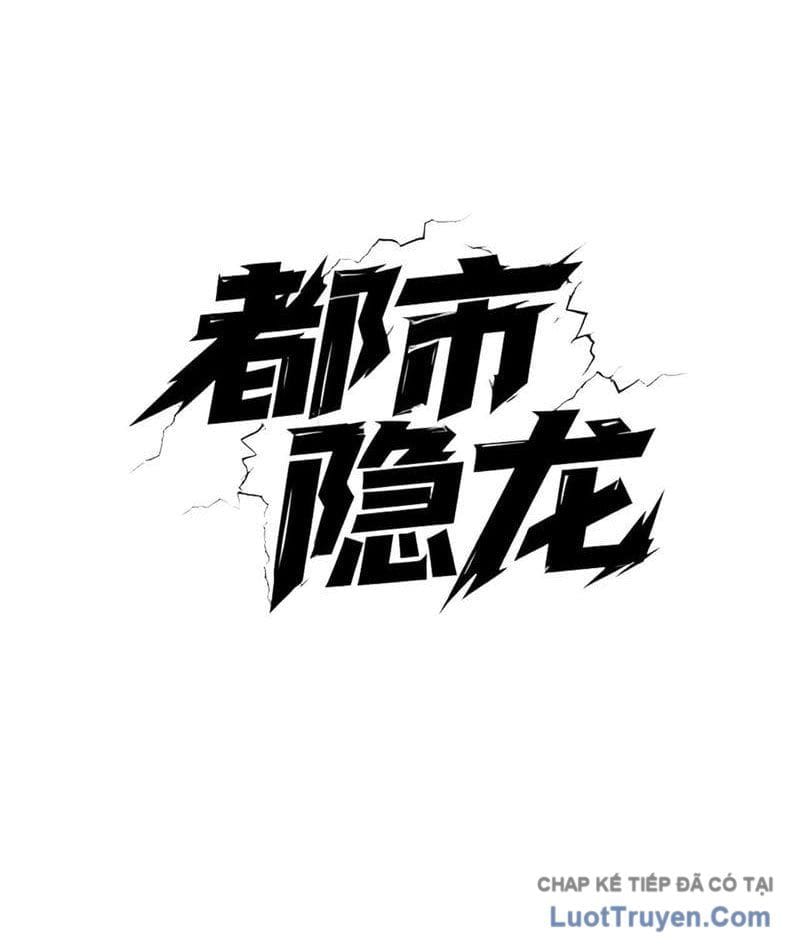 Ẩn Long Đô Thị Chap 33 - Next Chap 34