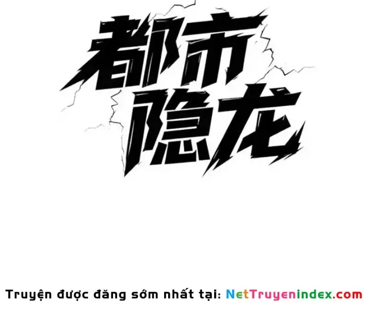 Ẩn Long Đô Thị Chap 39 - Next Chap 40