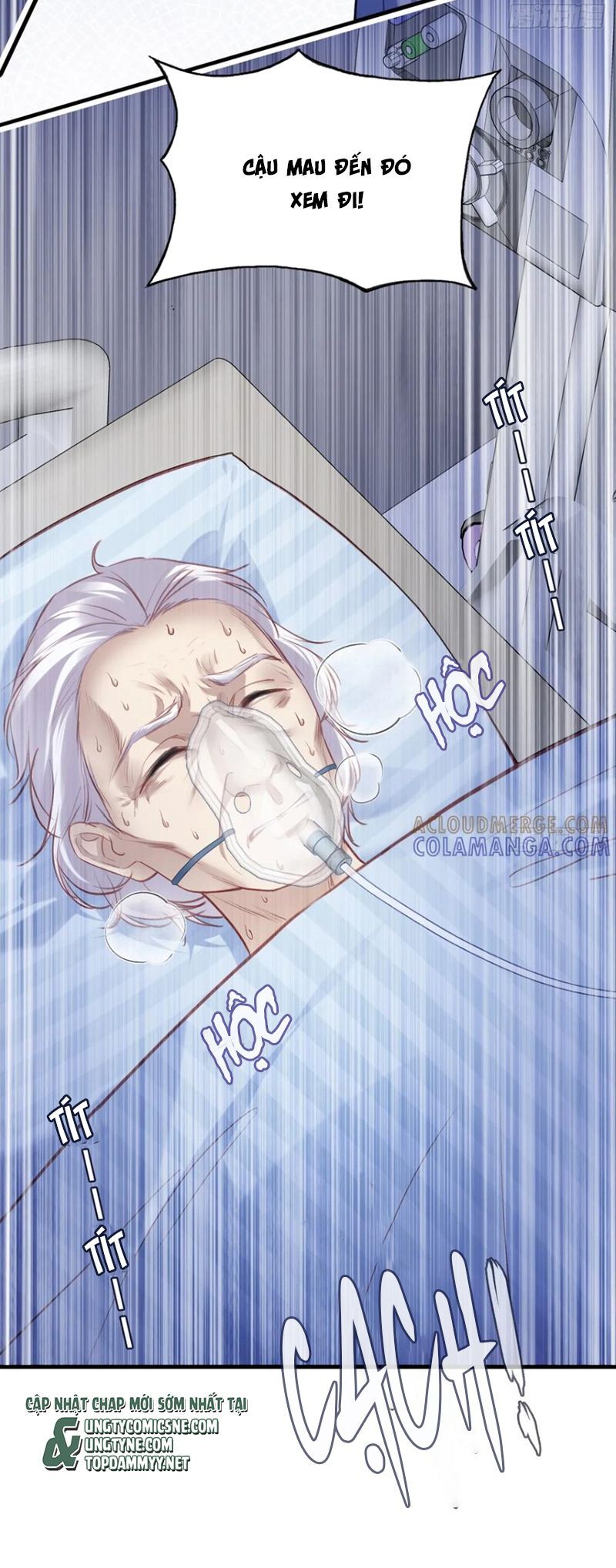 Anh Ấy Chưa Từng Rơi Xuống Chap 131 - Next Chap 132