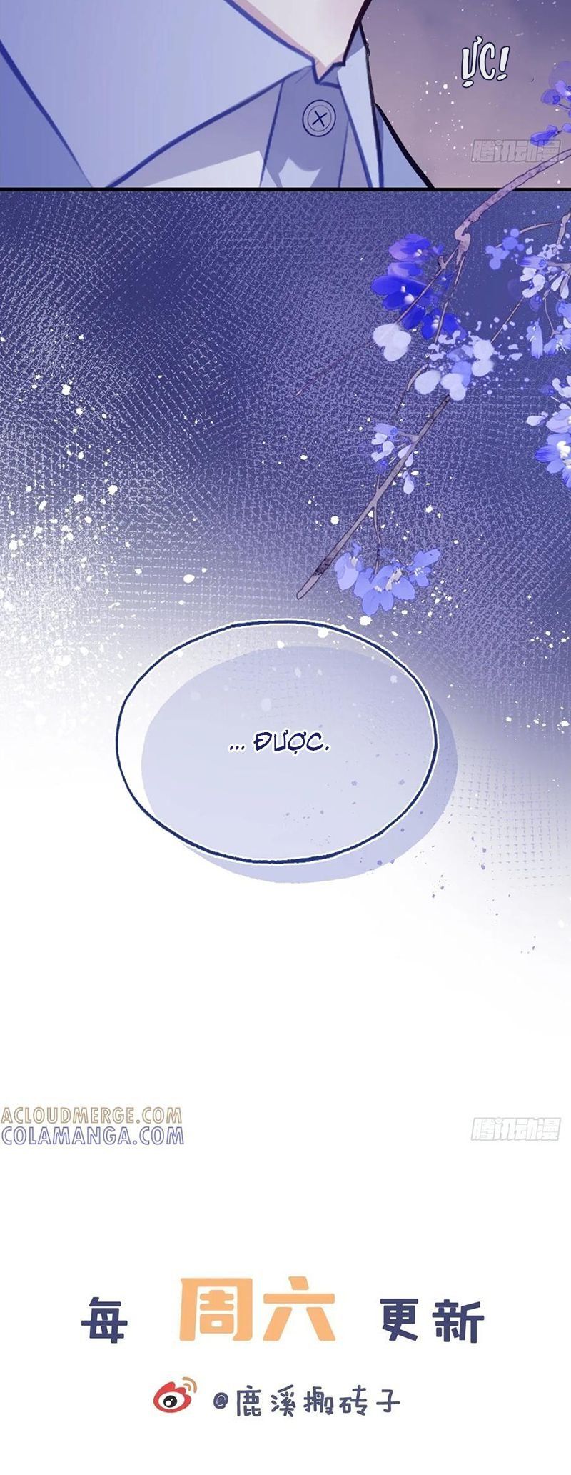 Anh Ấy Chưa Từng Rơi Xuống Chap 135 - Next Chap 136