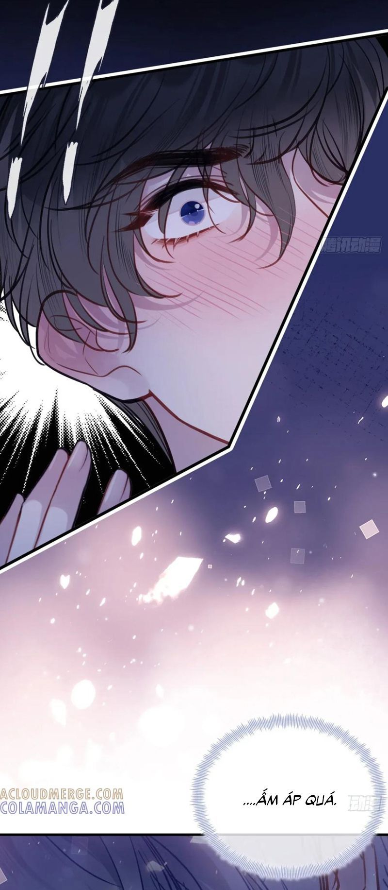 Anh Ấy Chưa Từng Rơi Xuống Chap 136 - Next Chap 137