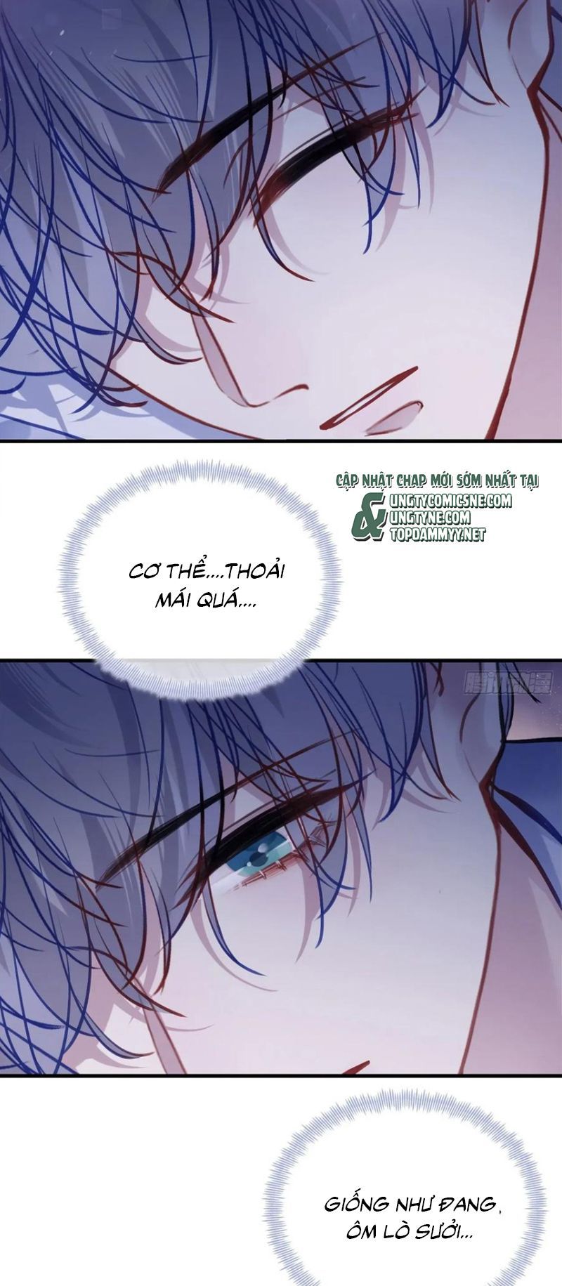 Anh Ấy Chưa Từng Rơi Xuống Chap 136 - Next Chap 137