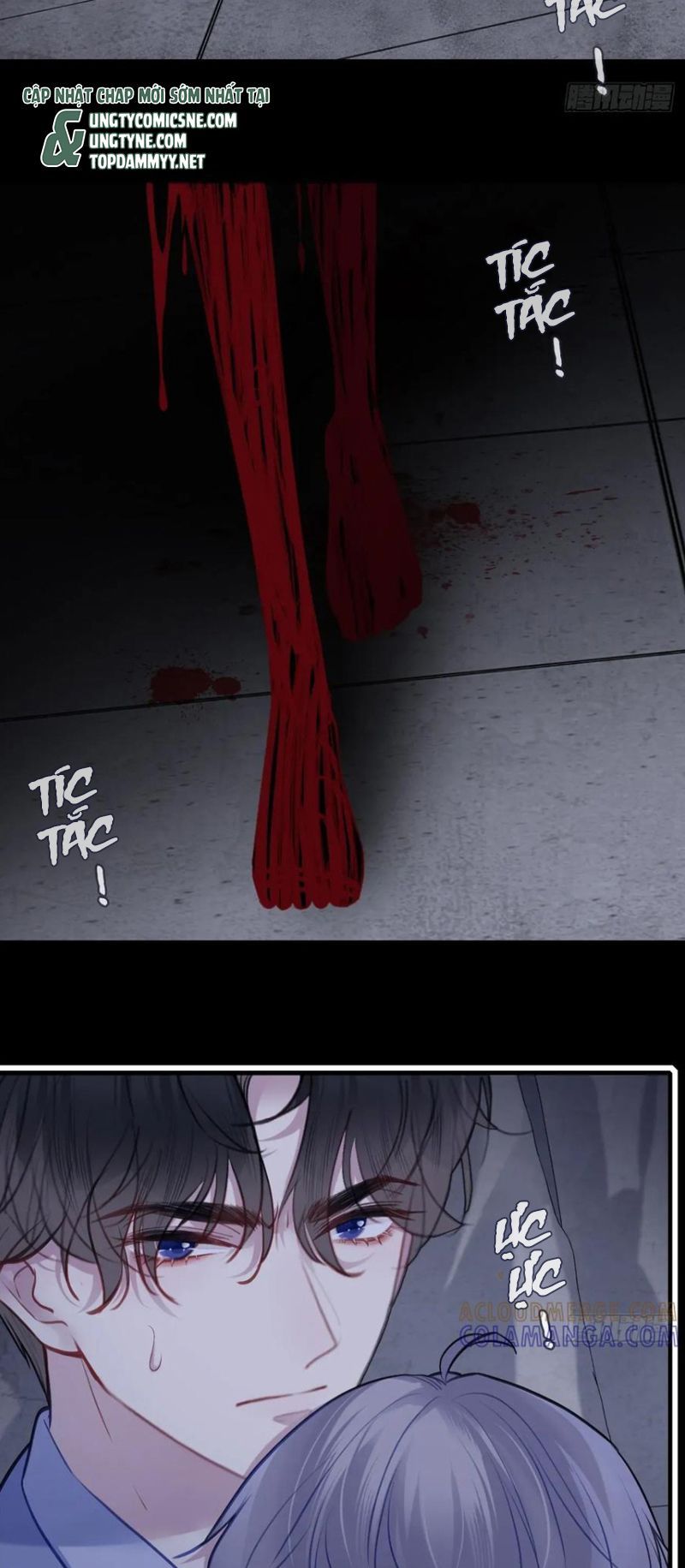 Anh Ấy Chưa Từng Rơi Xuống Chap 136 - Next Chap 137